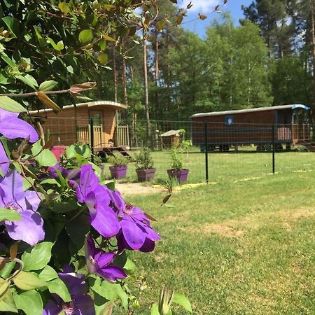 Rougeou Roulottes Du Chalet Des Pins المظهر الخارجي الصورة
