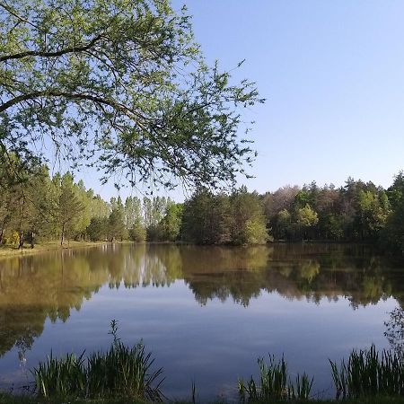 Rougeou Roulottes Du Chalet Des Pins المظهر الخارجي الصورة