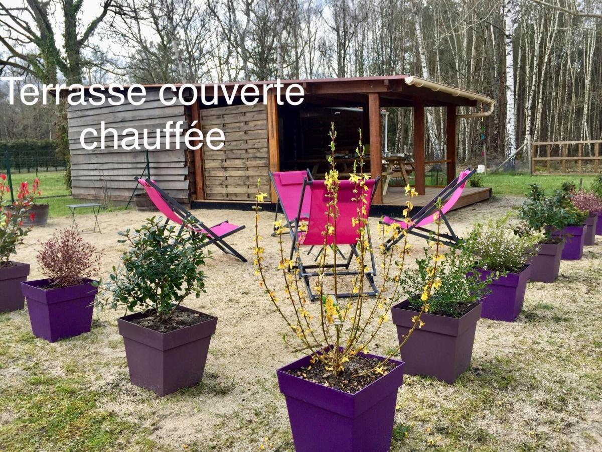 Rougeou Roulottes Du Chalet Des Pins المظهر الخارجي الصورة