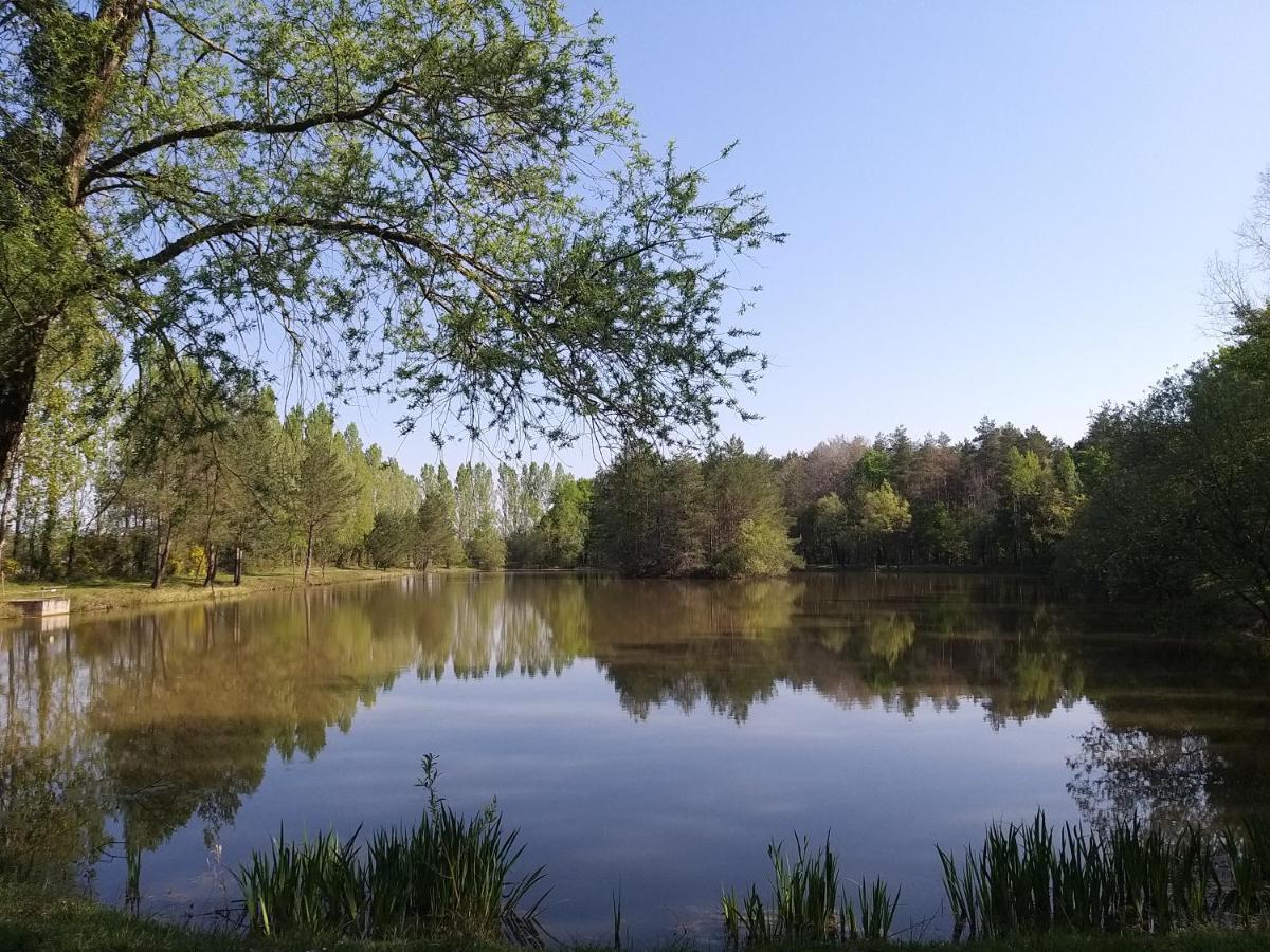 Rougeou Roulottes Du Chalet Des Pins المظهر الخارجي الصورة